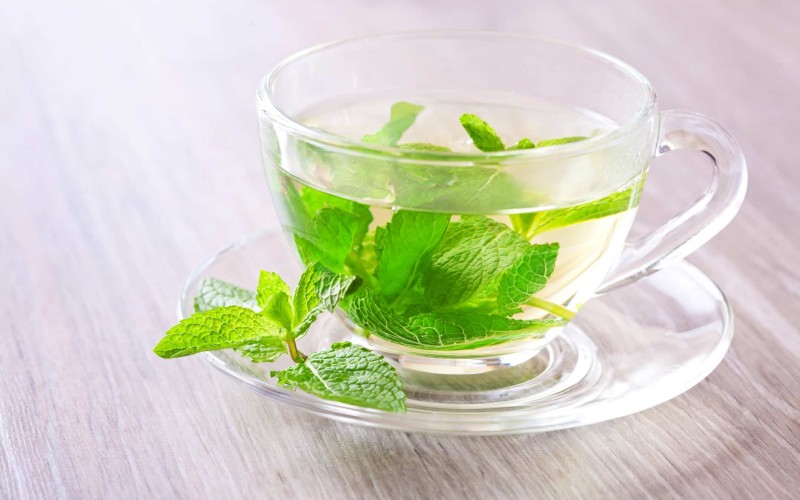 Mint Tea,Top 5 Appetite Suppressant