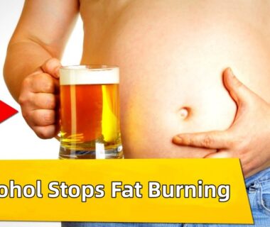 Alcohol Stops Fat Burning