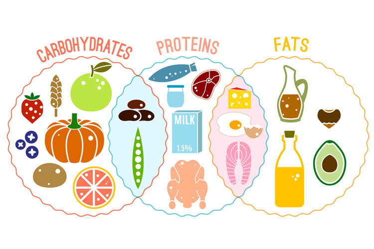 Eat Protein, Fat, and Vegetables