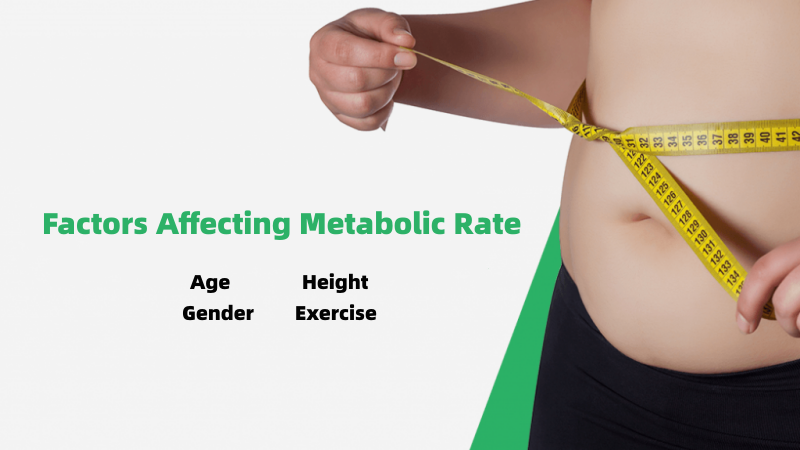 Factors Affecting Metabolism Rate in Fat Burning