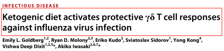 ketogenic diet activates the immune T-cell response