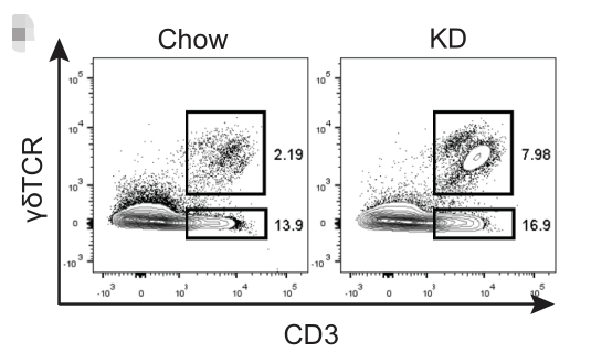 eating fewer carbohydrates does boost immunity