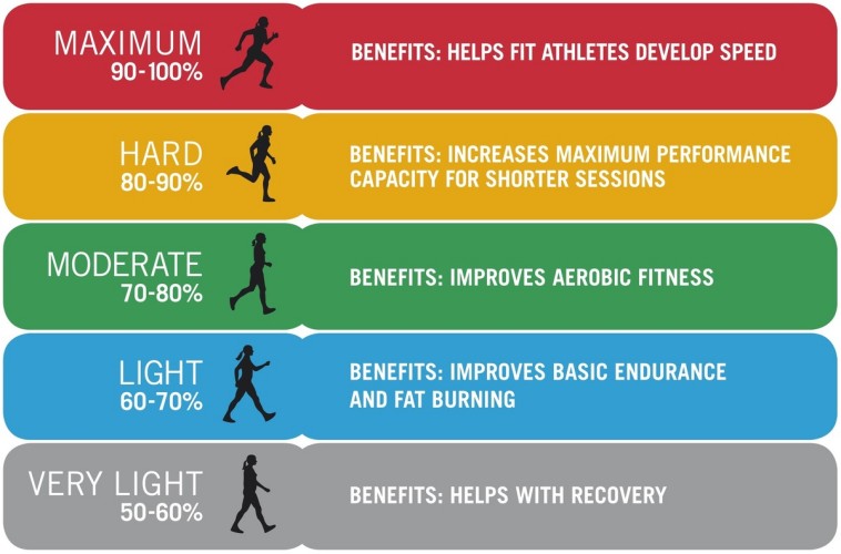 Fat Burning Heart Zone