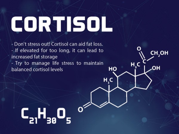 Stress Hormone Cortisol