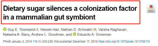 Sugar Hurts the Gut and Lowers Immunity