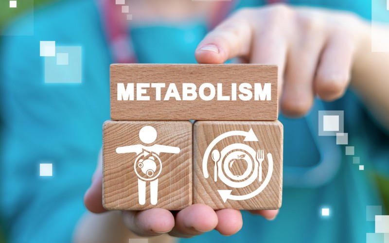 How Age Affects Metabolism