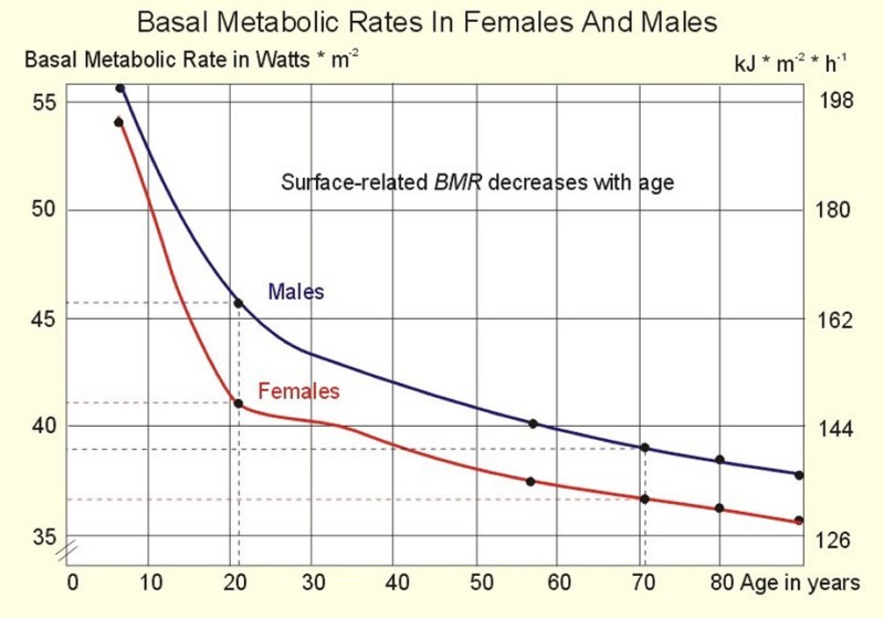 basal metabolism rate with age and sex