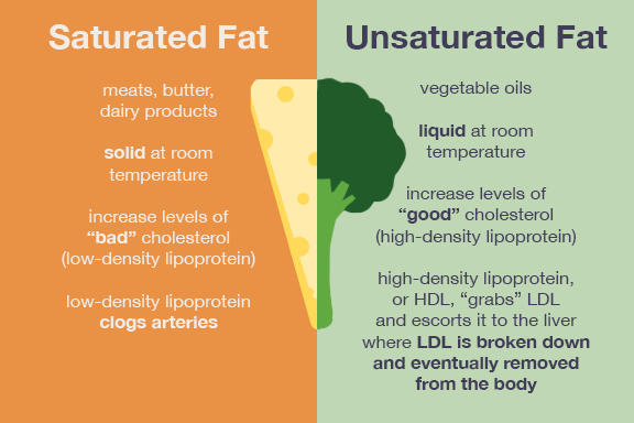 Saturated Fats and Unsaturated Fats 