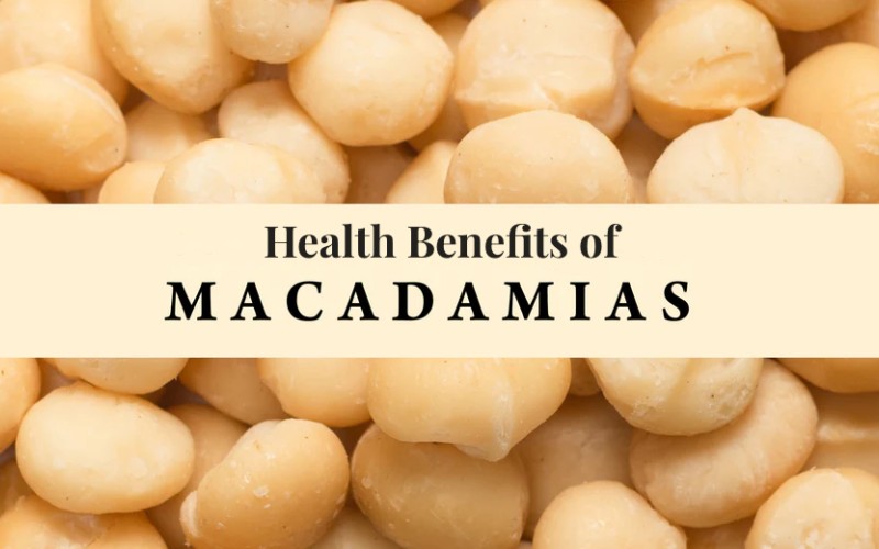 Health Benefits of Macadamia Nuts