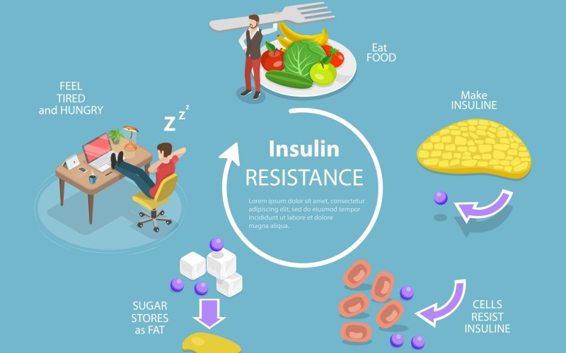 Insulin Resistance Affect Weight Loss