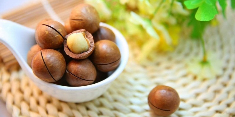 Special Nutrients in Macadamia Nuts