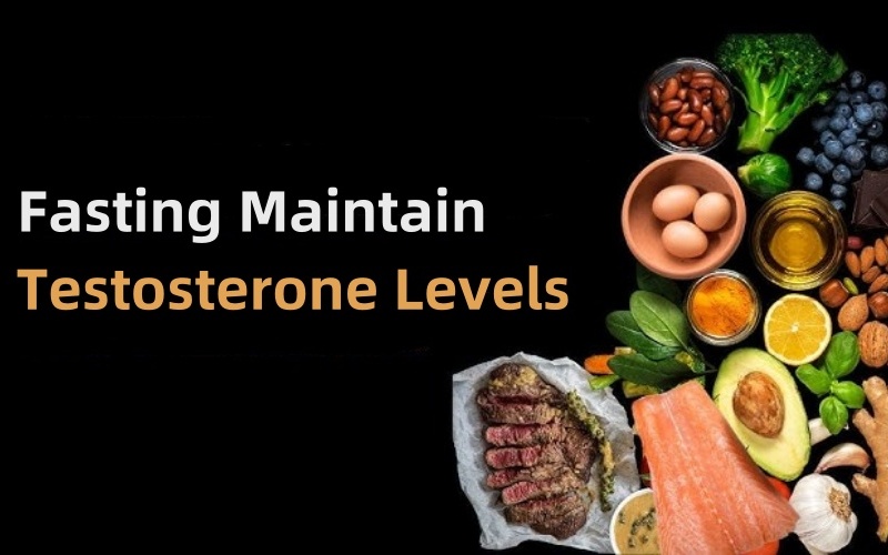 Increase Testosterone Levels