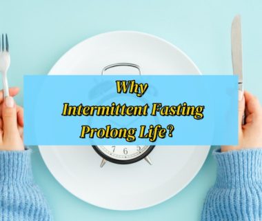 Why Does Intermittent Fasting Prolong Life