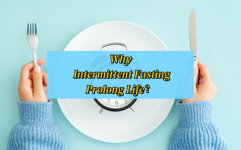 Why Does Intermittent Fasting Prolong Life