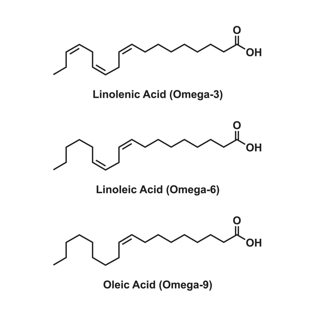 What Are Omega-9 Fatty Acids