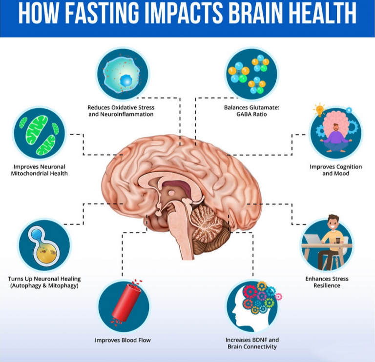 how fasting impacts brain health