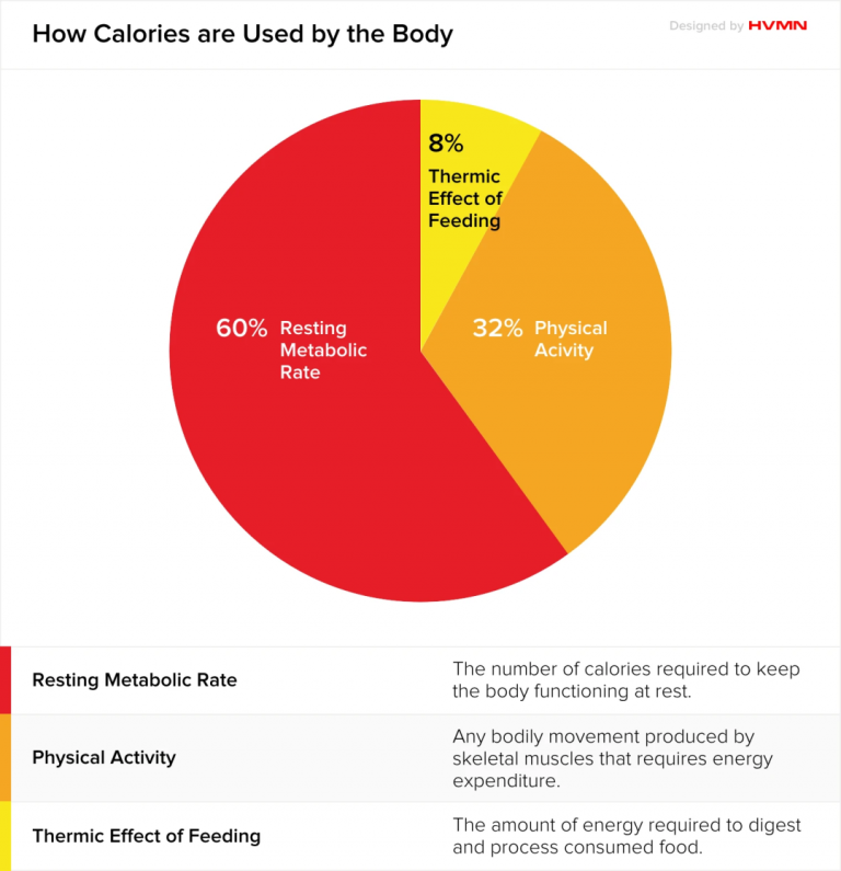 How many calories did you consume