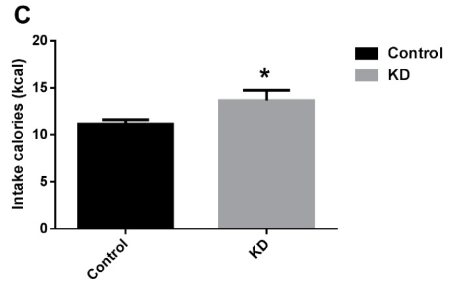 ketogenic mice recovered faster