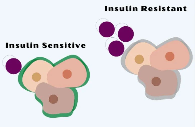  Improving insulin sensitivity