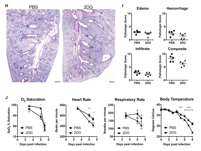 Fasting and fasting, the effect on two different infections