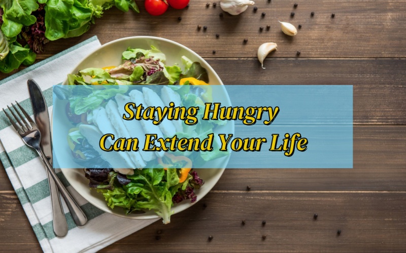 Staying Hungry Can Extend Your Life