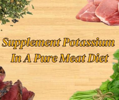 Supplement Potassium In A Pure Meat Diet