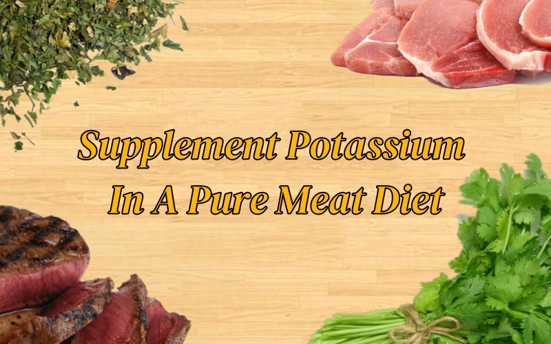 Supplement Potassium In A Pure Meat Diet