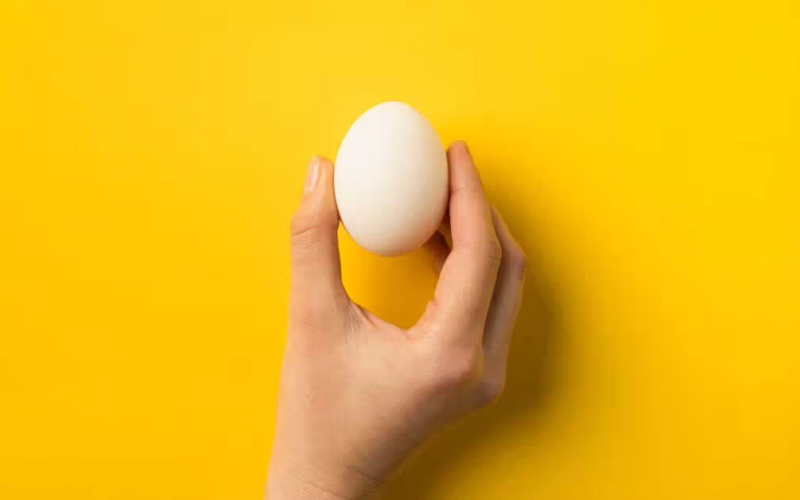 What is Egg Fasting