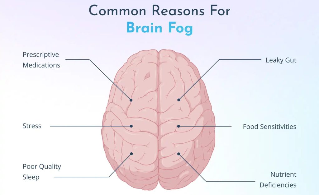 Common Causes Of Brain Fog