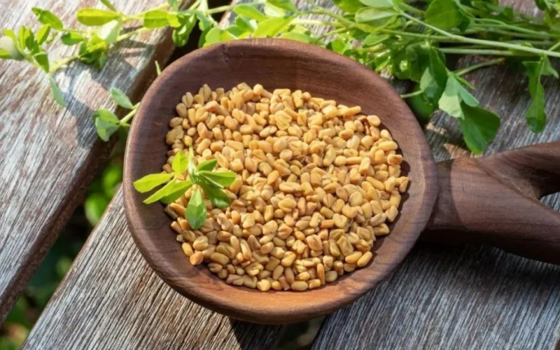 Fenugreek's Benefits And Potential Risks